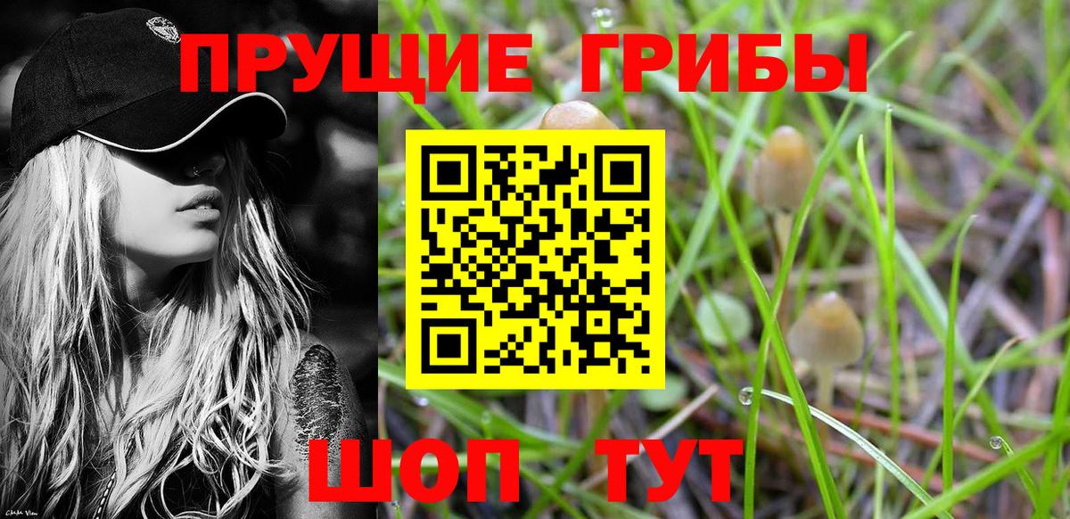 Галлюциногенные грибы Psilocybine cubensis  Вход с VPN  Магнитогорск  Псилоцибиновые грибы мухоморы 